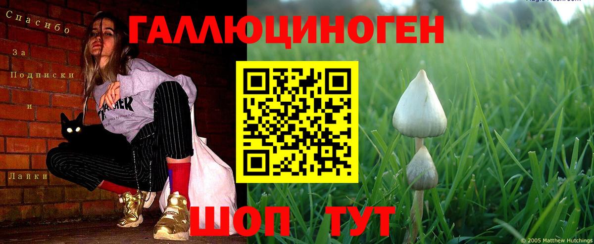 Псилоцибиновые грибы мицелий Кизилюрт