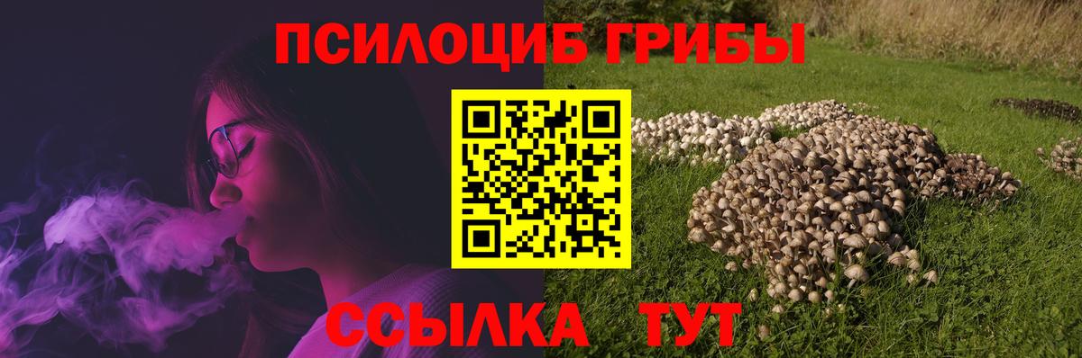 Псилоцибиновые грибы мухоморы  Вход с VPN  купить   Кизилюрт  Галлюциногенные грибы Psilocybe 